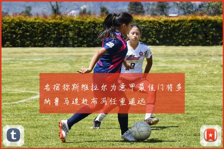 名宿称斯维拉尔为意甲最佳门将多纳鲁马追赶布冯任重道远